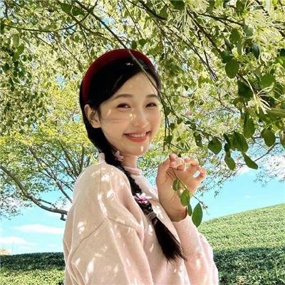 实习医生格蕾第十九季